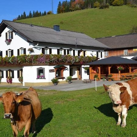 Bio Bauernhof Moas Vila Lunz am See Exterior foto
